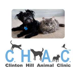 Clinton Hill Animal Clinic | 476 Myrtle Ave, Brooklyn, NY 11205, USA | Phone: (718) 623-3999