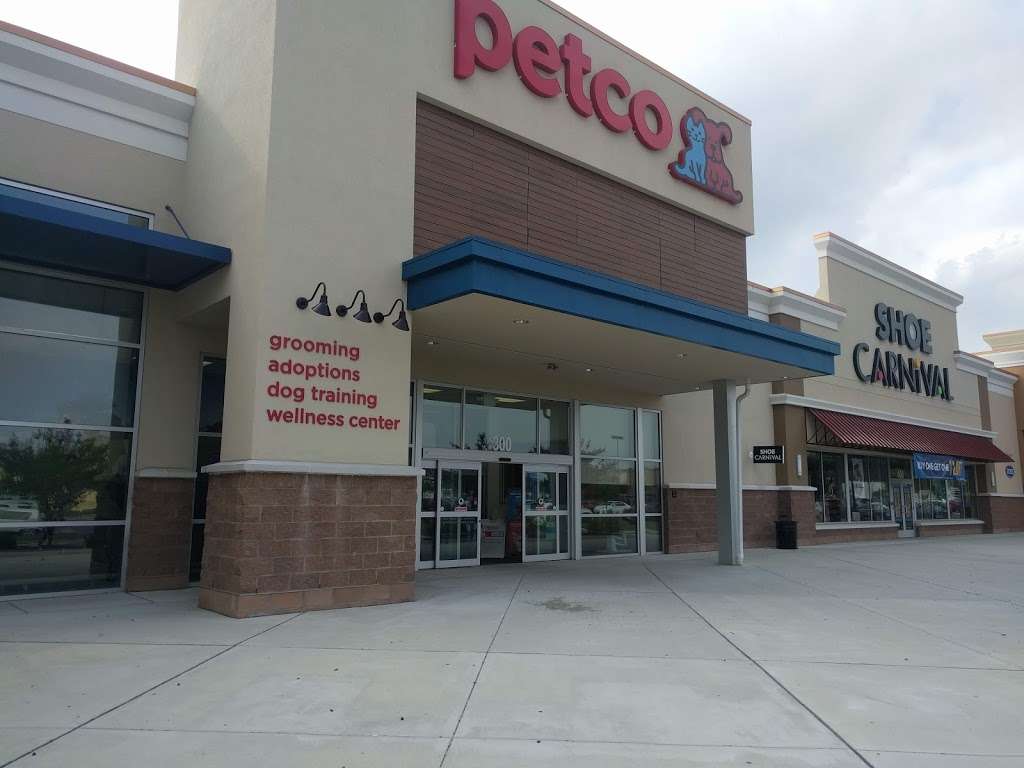 Petco Animal Supplies | 1574 N Dupont Hwy #300, Dover, DE 19901 | Phone: (302) 747-2292