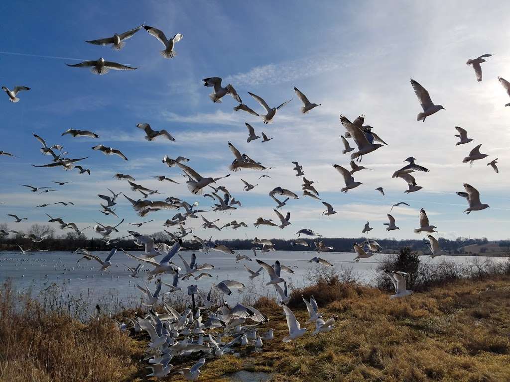 Church Road Bird Sanctuary | Church Rd, Pennsburg, PA 18073