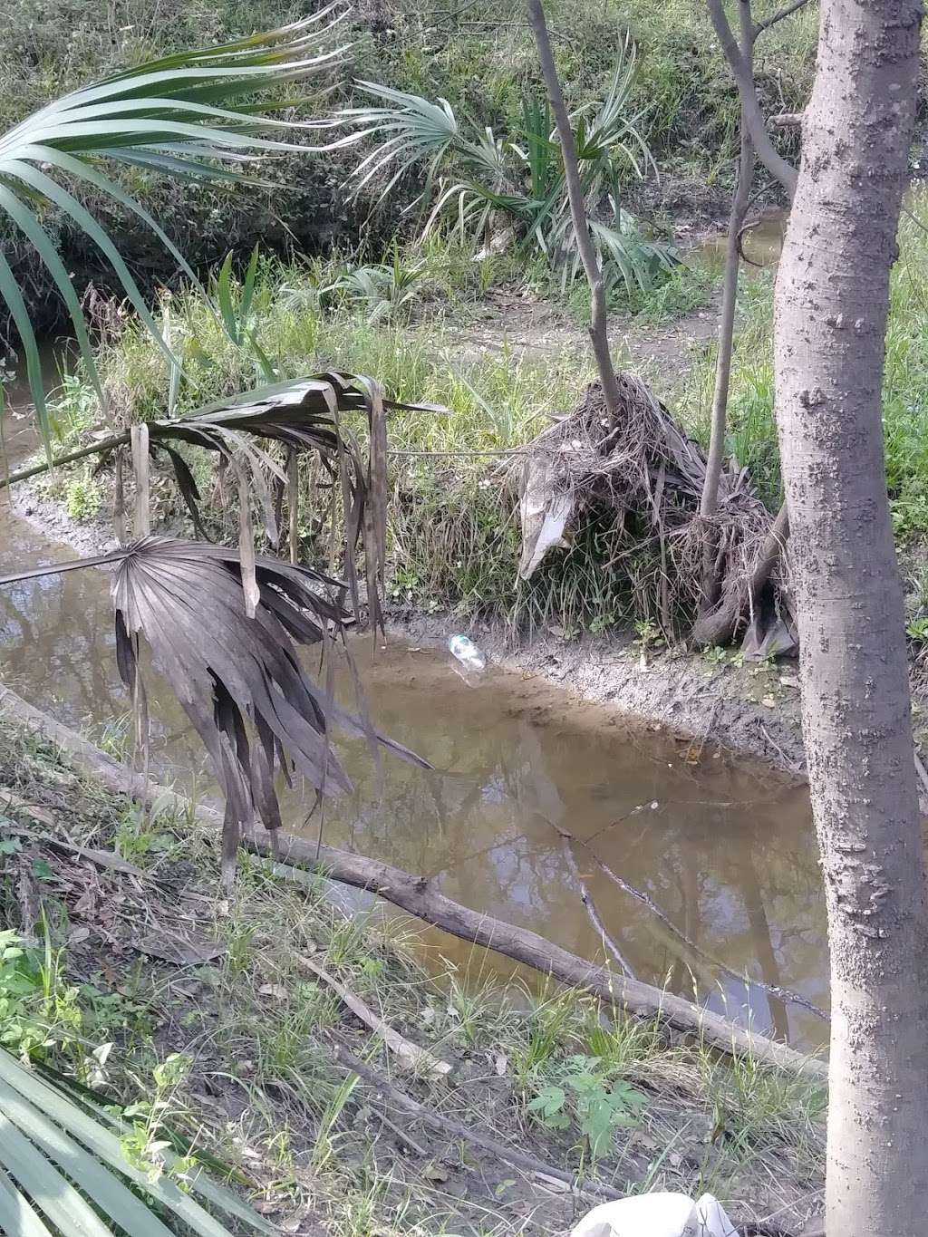 Hanson Riverside County Park (day use) | TX-35, West Columbia, TX 77486, USA