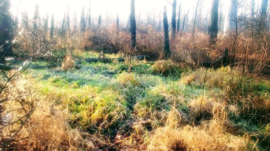 Ash Brook Reservation Hiking Trail, cotch Plains, NJ 07076