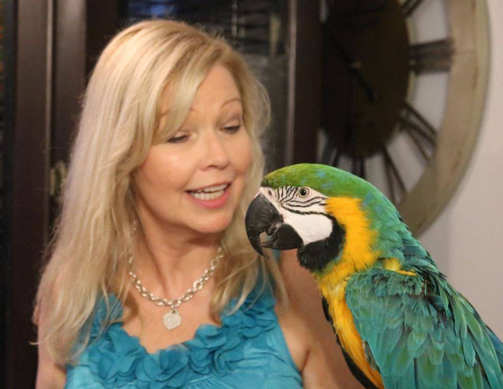 All-Tenn Pet & Horse Cremations | 2106 Ritter Rd, La Vergne, TN 37086, USA | Phone: (615) 828-7924