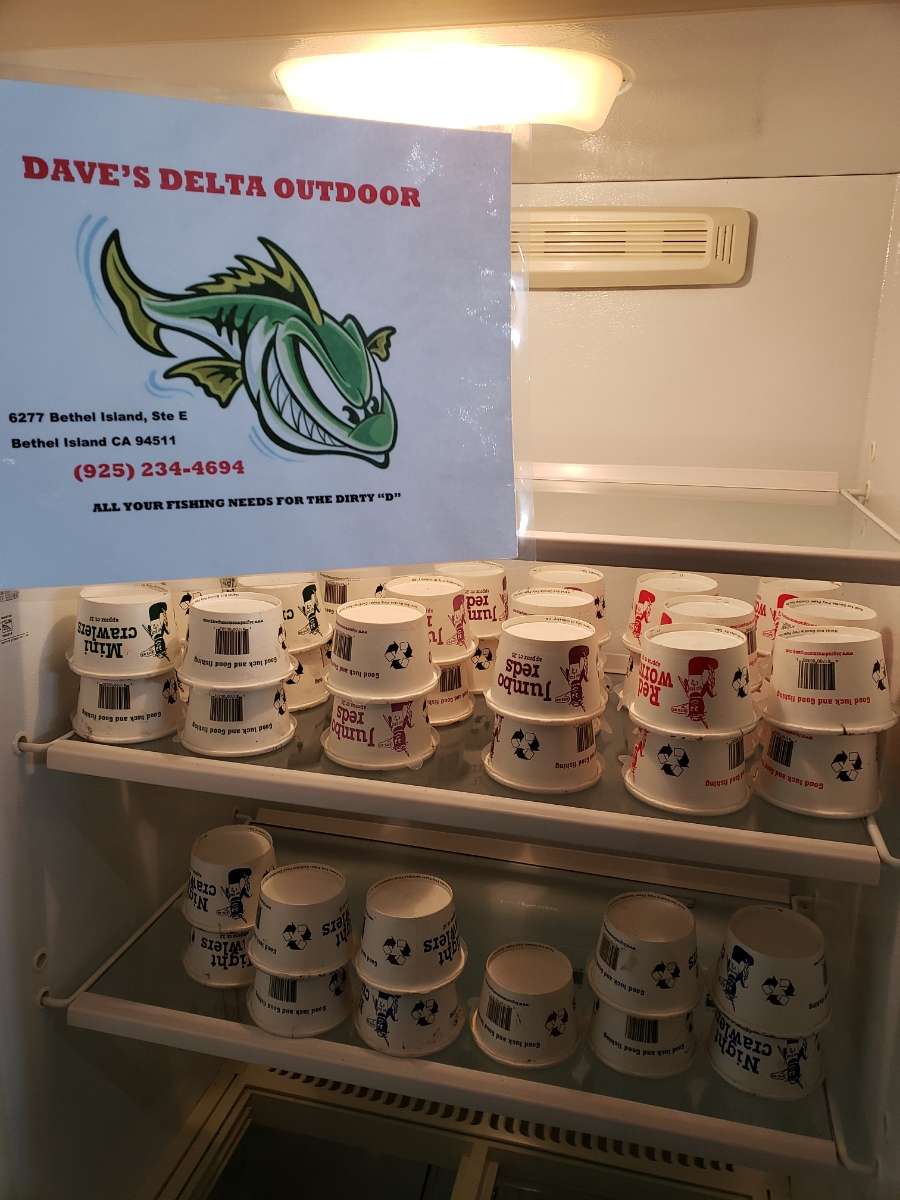 Daves Delta Outdoors | 6277 Bethel Island Rd, Bethel Island, CA 94511, USA | Phone: (925) 234-4694