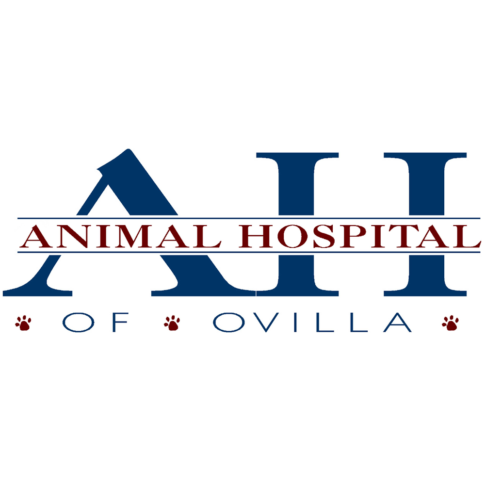 Animal Hospital of Ovilla | 3357 Ovilla Rd, Red Oak, TX 75154, USA | Phone: (972) 617-9996