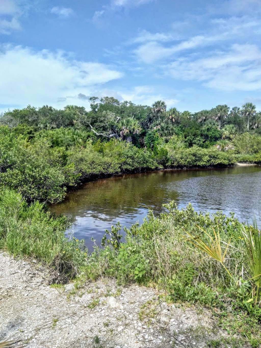 Spruce Creek Preserve | 3251 N Dixie Fwy, New Smyrna Beach, FL 32168, USA