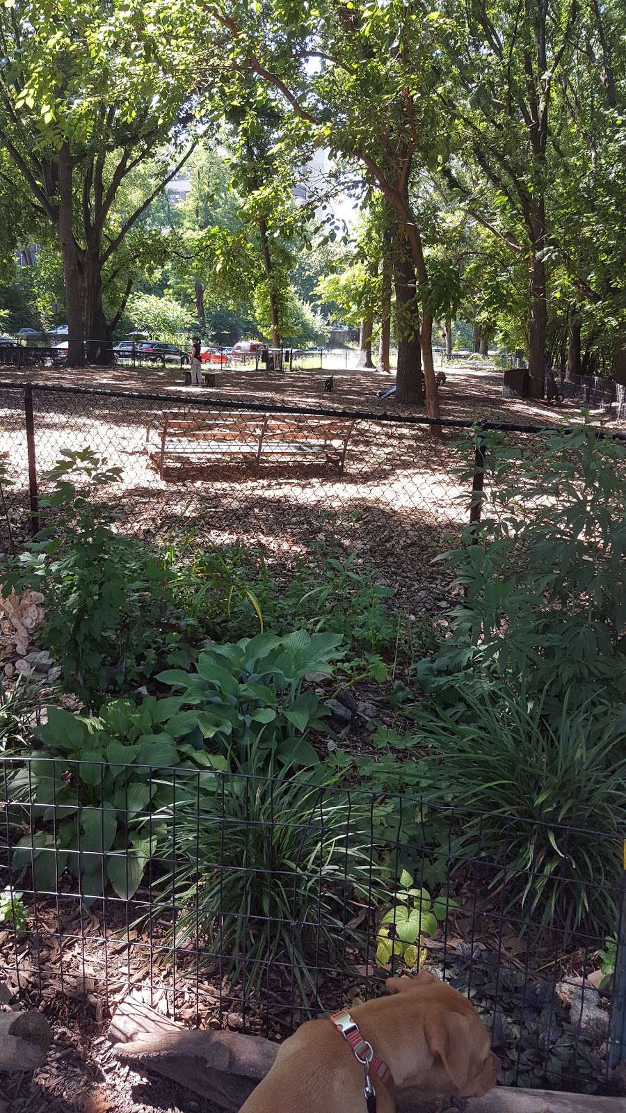 Fort Washington Park Dog Run | Fort Washington Park, 899 Riverside Dr, New York, NY 10032, USA | Phone: (212) 639-9675