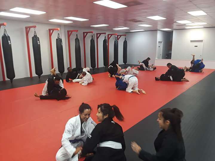 The Jiu Jitsu Order - Ordinario Brothers Brazilian Jiu Jitsu - P | 9110 Jones Rd #127, Houston, TX 77065 | Phone: (346) 277-8463