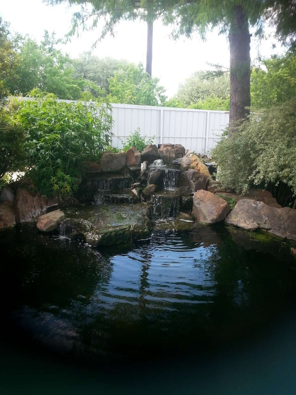 Creative Water Gardens | 2125 W Kingsley Rd, Garland, TX 75041, USA | Phone: (972) 271-1411