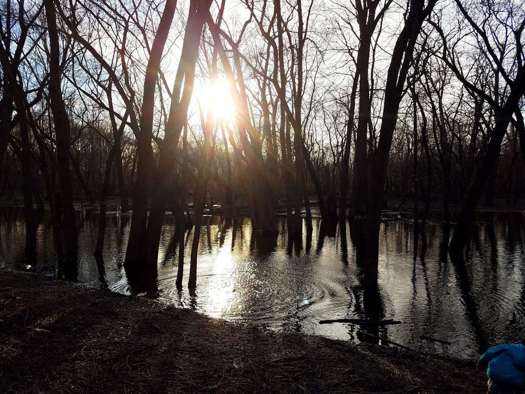 Quercus Woods Family Picnic Area | Maywood, IL 60153