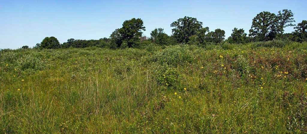 Kettle Moraine Low Prairie State Natural Area | Stark Rd, Eagle, WI 53119, USA | Phone: (608) 266-0394