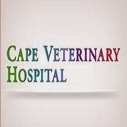 Cape Veterinary Hospital | 305 Swainton Goshen Rd, Cape May Court House, NJ 08210, USA | Phone: (609) 465-9326