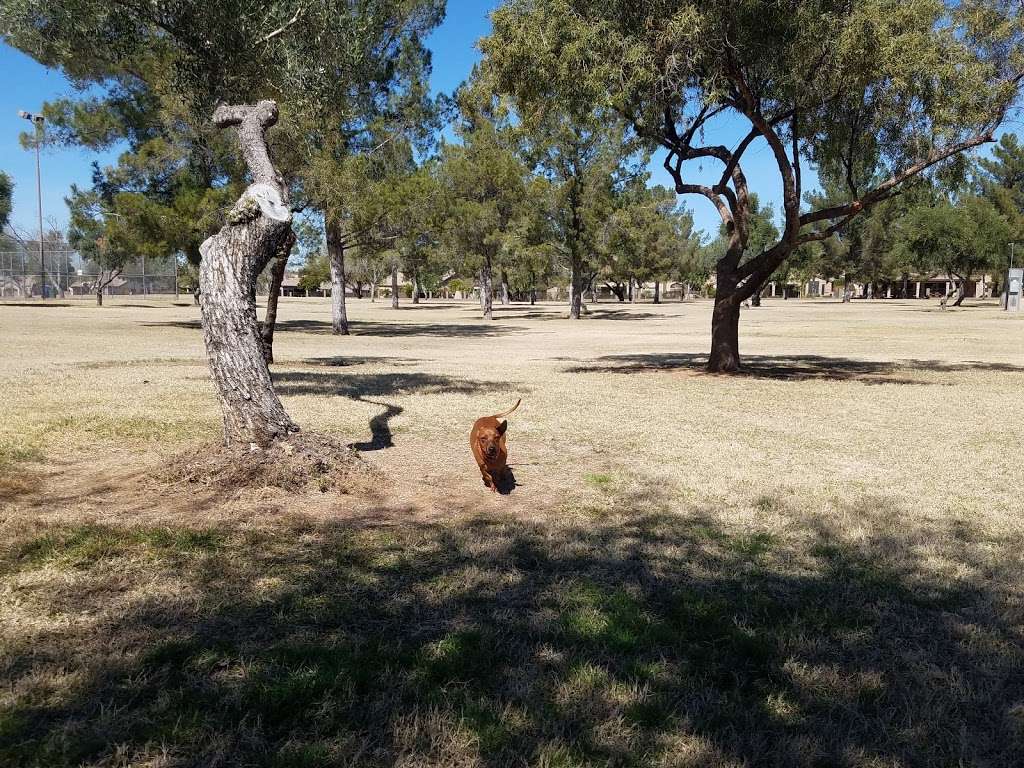 Sandpiper Park | 6530 E Hearn Rd, Phoenix, AZ 85004, USA | Phone: (602) 262-6696