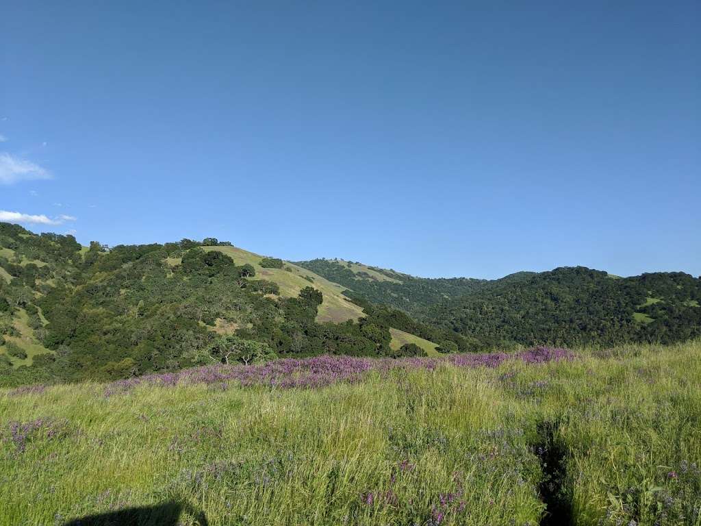 Trail from Horses Heaven to Picnic Grounds | Morgan Hill, CA 95037, USA