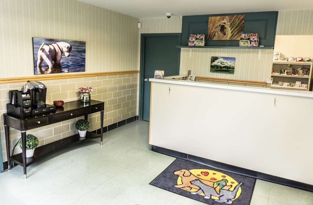 Clark Veterinary Hospital | 40 Webster St, Nashua, NH 03064, USA | Phone: (603) 605-8432