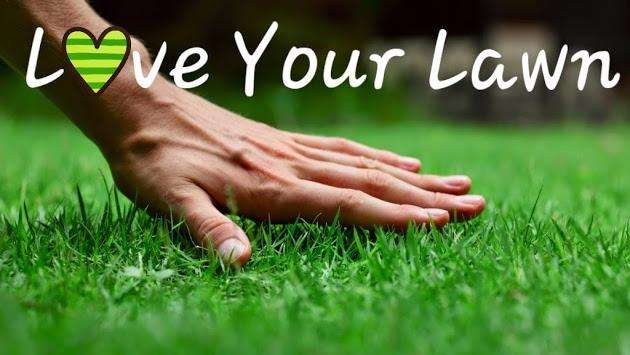 Top Turf Lawn Care and Pest Management | 4301 Pete Brown Rd, Charlotte, NC 28269, USA | Phone: (704) 597-2121
