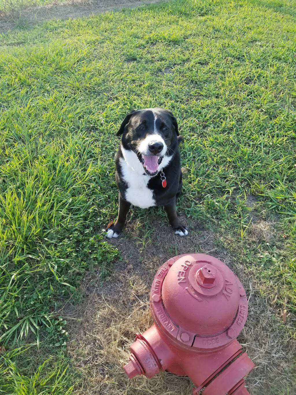 Bay City Dog Park | 1700 Avenue H, Bay City, TX 77414