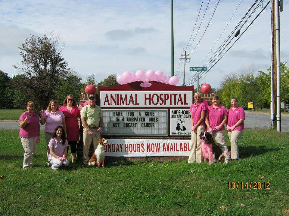 Midshore Veterinary Service | 602 Dutchmans Ln, Easton, MD 21601, USA | Phone: (410) 820-9229