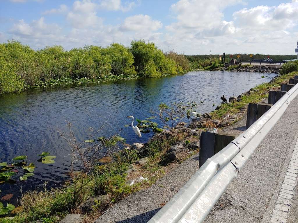 Parking Area | Florida