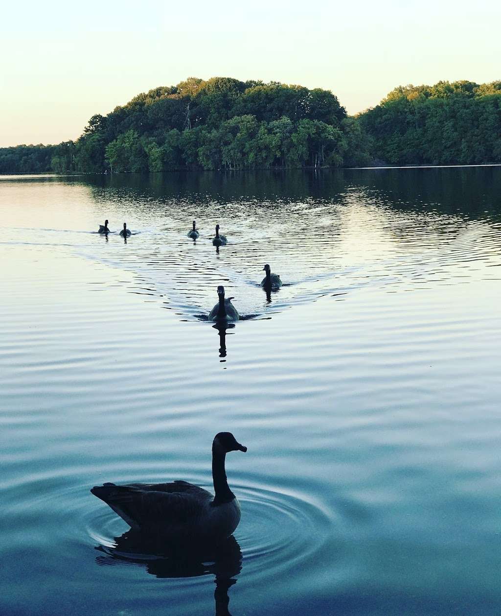 Burke Lake Park Shelter C | Burke Lake Park, Ox Road, Fairfax Station, VA, Fairfax Station, VA 22039 | Phone: (703) 324-8732