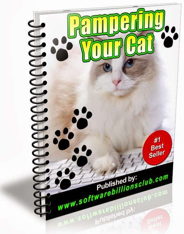 eBooks 4 Less! | 5700 Cowles Mountain Blvd, La Mesa, CA 91942, USA | Phone: (619) 825-8367