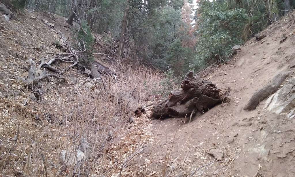 Nuooah Nature Trail Entrance | Unnamed Rd,, Tehachapi, CA 93561, USA