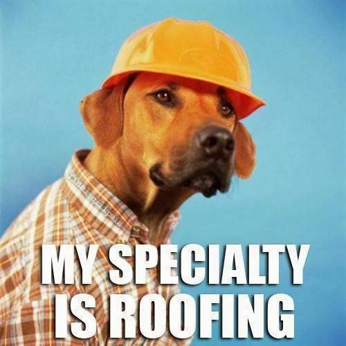 Astro Roofing | 816 Park Forest Dr, Hurst, TX 76053, USA | Phone: (817) 285-7663