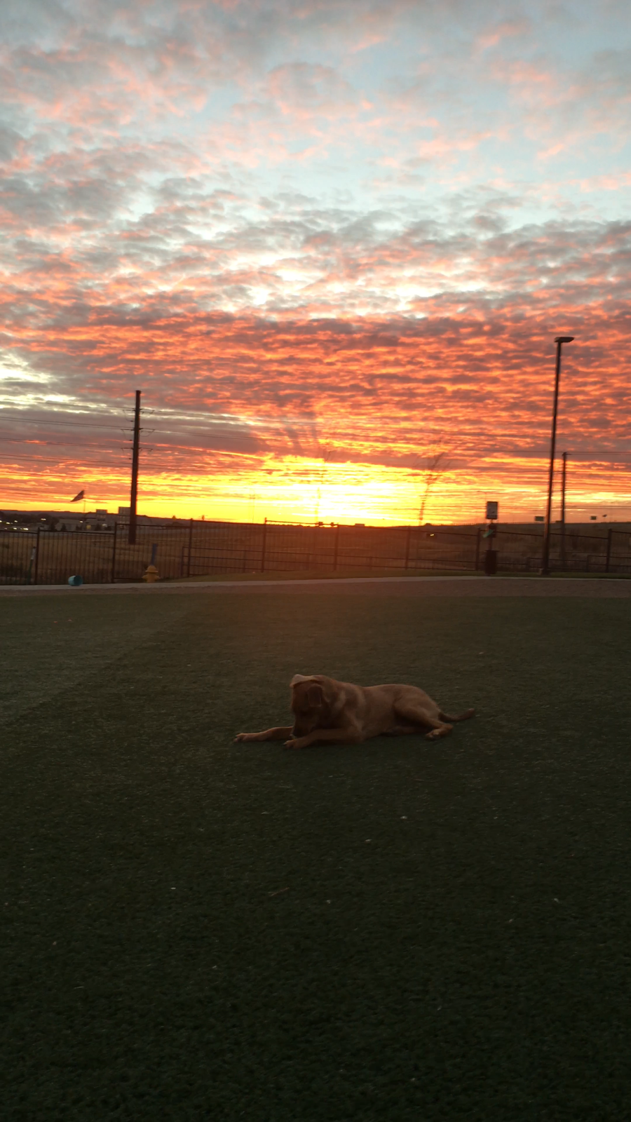 Bark Park | Edgeview Dr, Broomfield, CO 80021