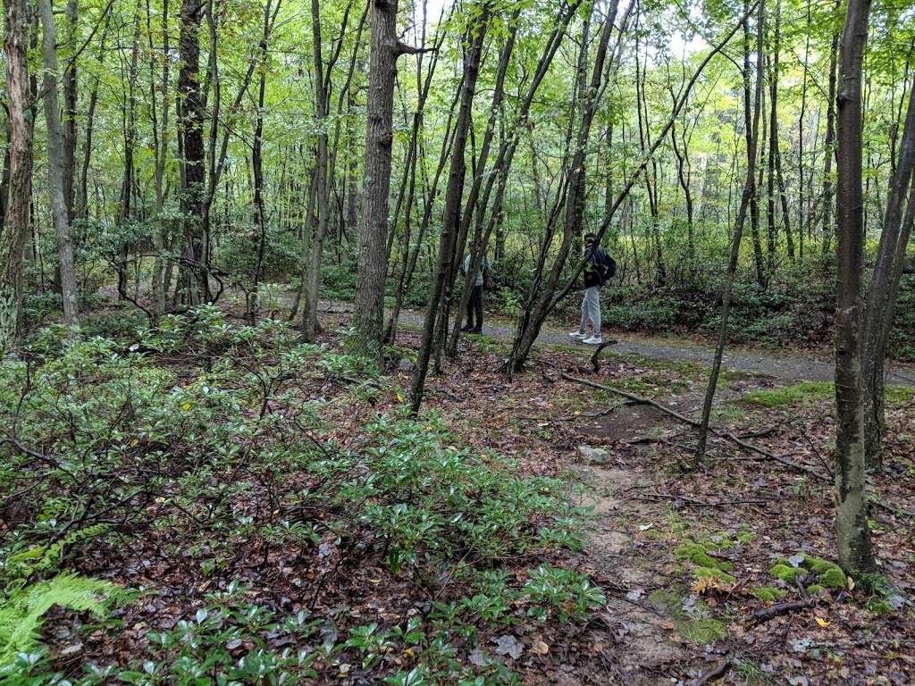 Appalachian Trail | Unnamed Road, Layton, NJ 07851