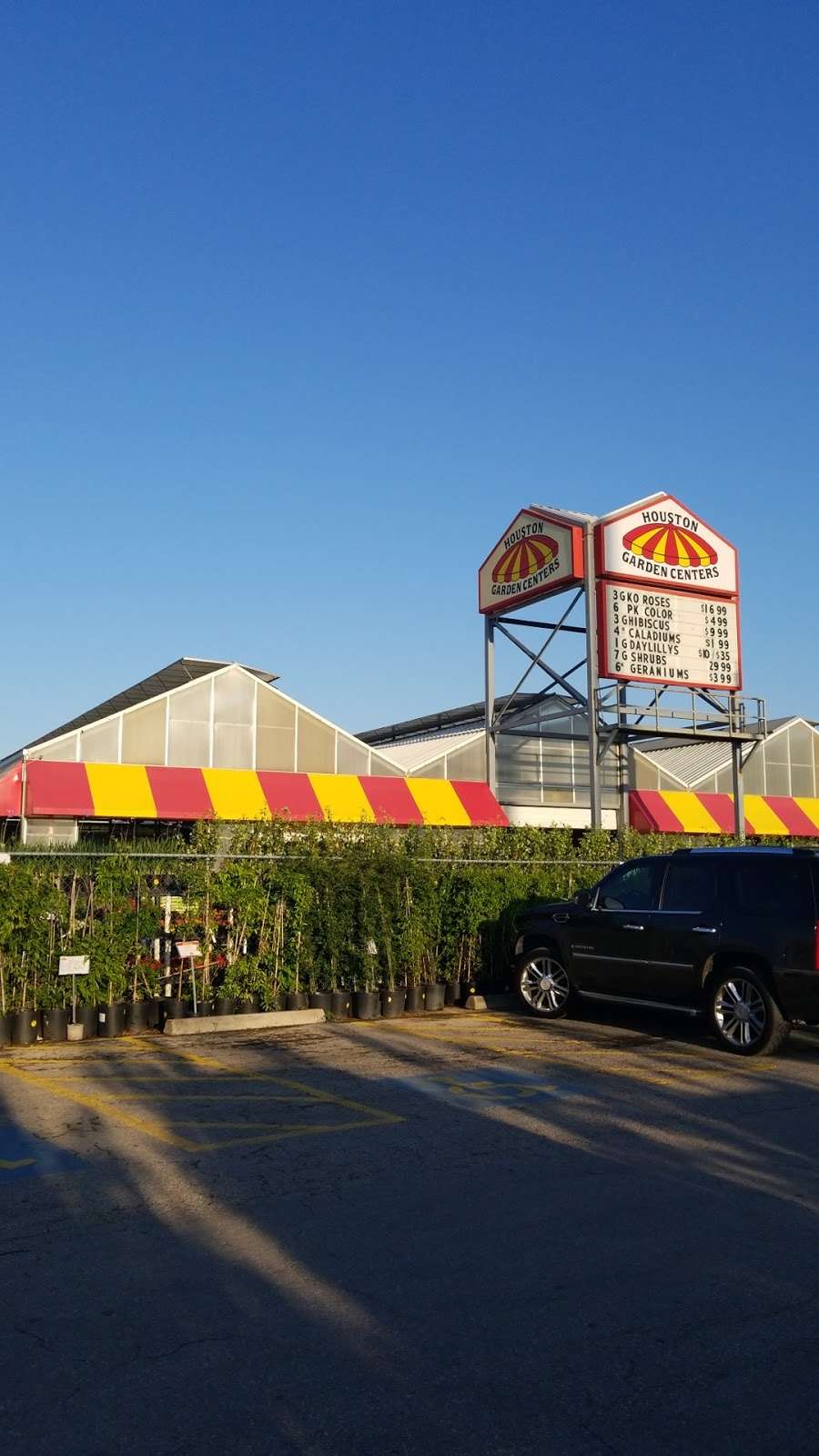 Houston Garden Centers | 13403 South Fwy, Houston, TX 77047, USA | Phone: (713) 433-6157