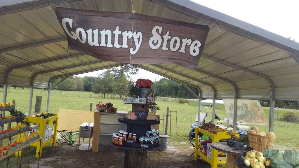 Dyess Family Farms/Fresh Produce | 5207, 1779 FL-471, Sumterville, FL 33585, USA | Phone: (352) 461-5054