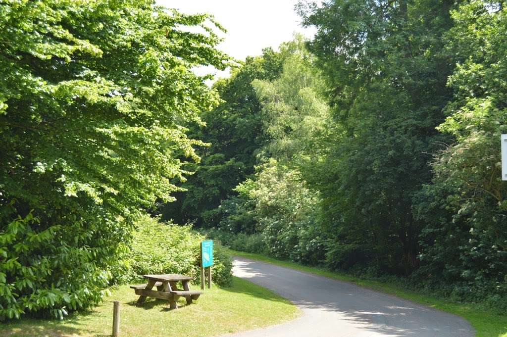 Trosley Country Park | Waterlow Rd, Vigo Village, Gravesend DA13 0SG, UK | Phone: 0300 042 0992