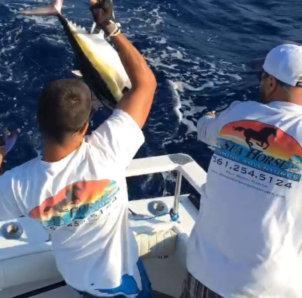 Sea Horse Fishing Charter Adventures | 255 E 22nd Ct, Riviera Beach, FL 33404 | Phone: (561) 254-5124