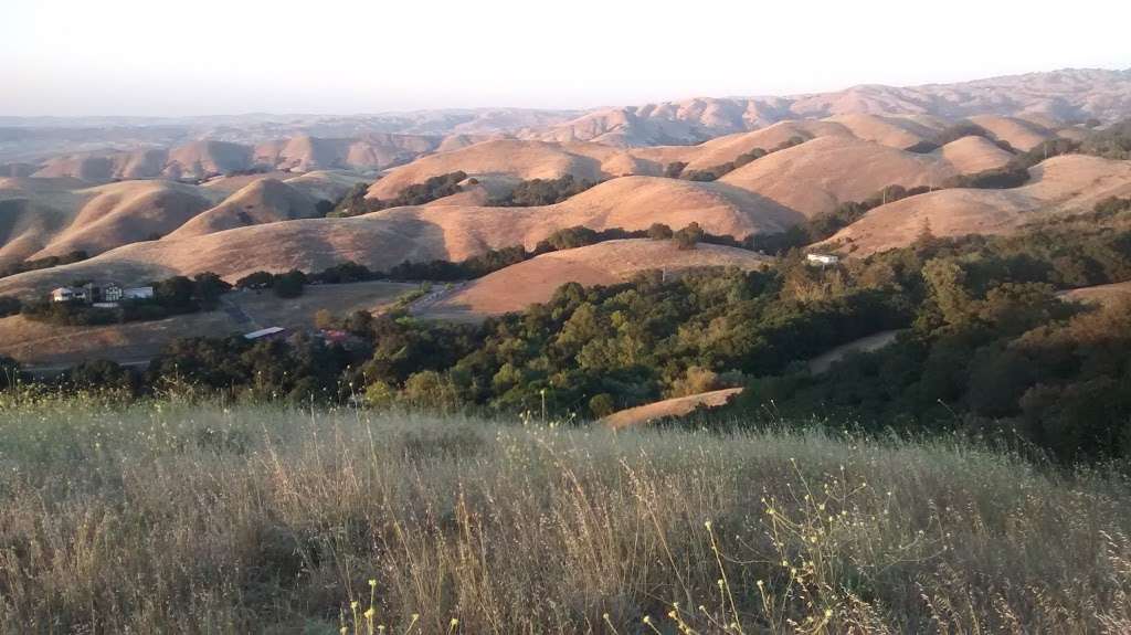 Mission Peak Ohlone Trail | Ysc Trail, Fremont, CA 94539, USA