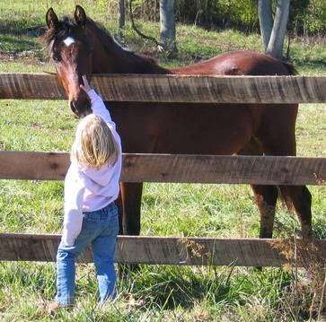 Heritage Harvest Farm | 17159 Sprecher Rd, Boonsboro, MD 21713, USA | Phone: (301) 223-6731