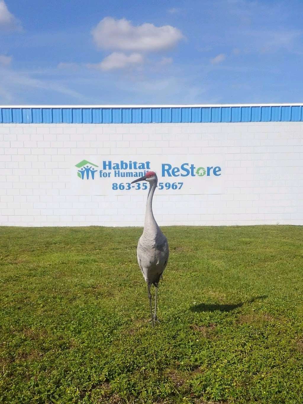 Habitat for Humanity | 27985 US-27, Dundee, FL 33838, USA | Phone: (863) 353-5967