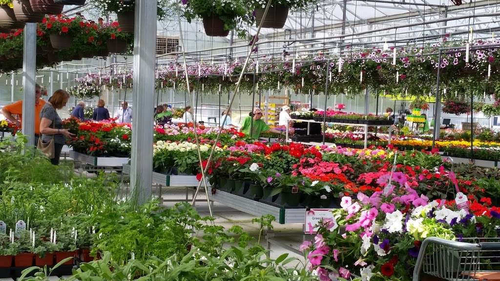 Blooms Greenhouse Growers Outlet | 719 Hupp Rd, La Porte, IN 46350, USA | Phone: (219) 393-3607