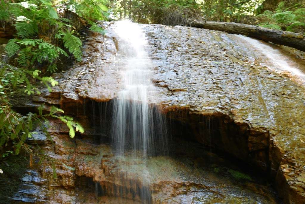 Berry Creek Falls | Berry Creek Falls Trail, Davenport, CA 95017, USA