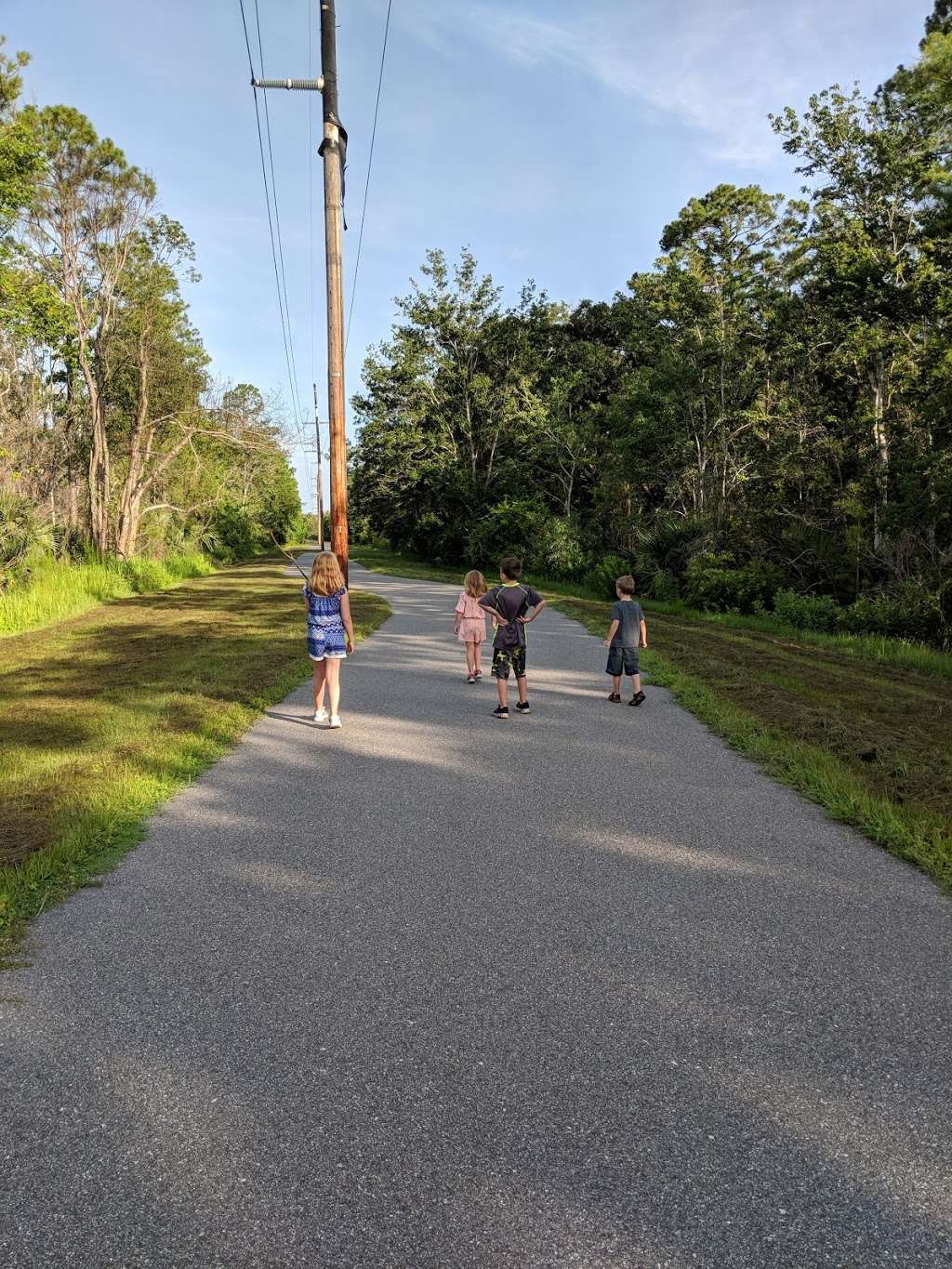 Otter Park South | Otter Blvd, New Smyrna Beach, FL 32168, USA | Phone: (386) 424-2175