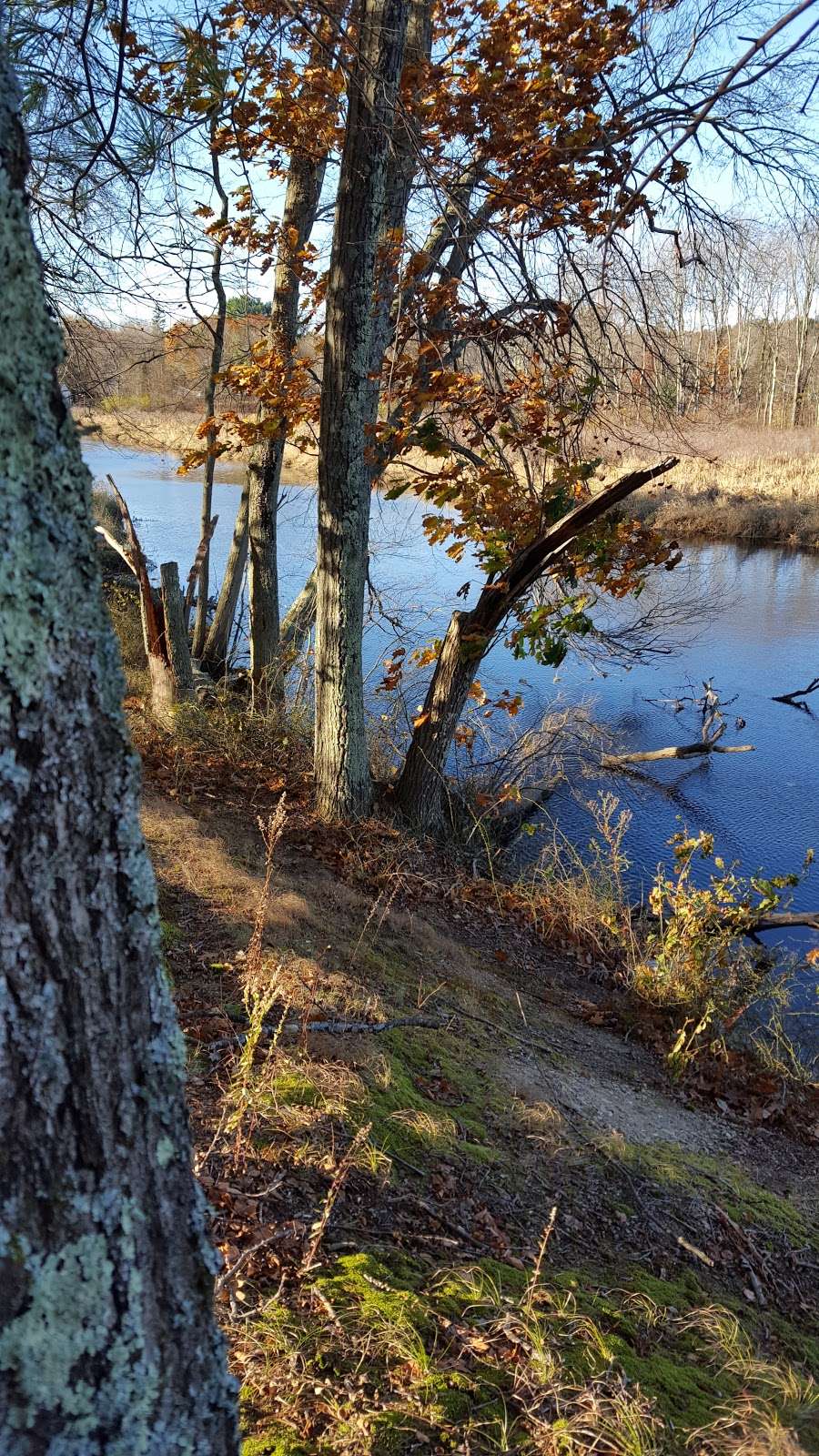 Assabet River National Wildlife Refuge | 680 Hudson Rd, Sudbury, MA 01776, USA | Phone: (978) 562-3527