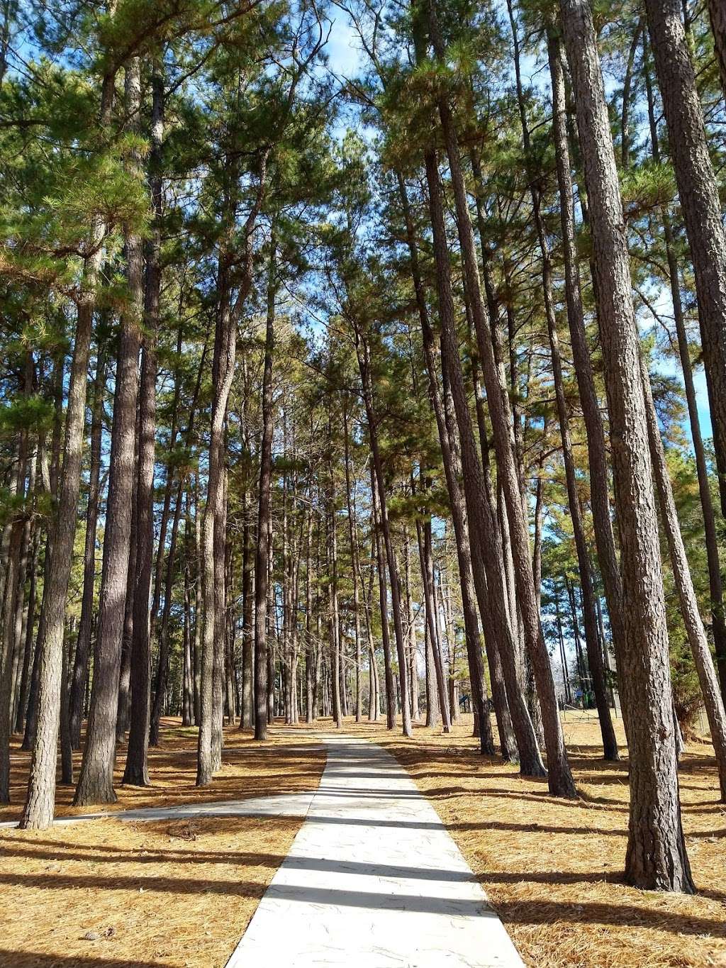 Reedy Creek Park Shelter 4 | 2900 Rocky River Rd, Charlotte, NC 28213, USA | Phone: (980) 314-1001