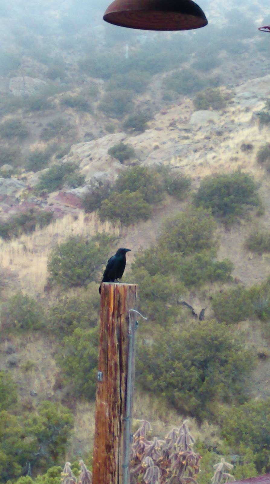 Tomo-Kahni State Historic Park | Tehachapi, CA 93561, USA | Phone: (661) 946-6092