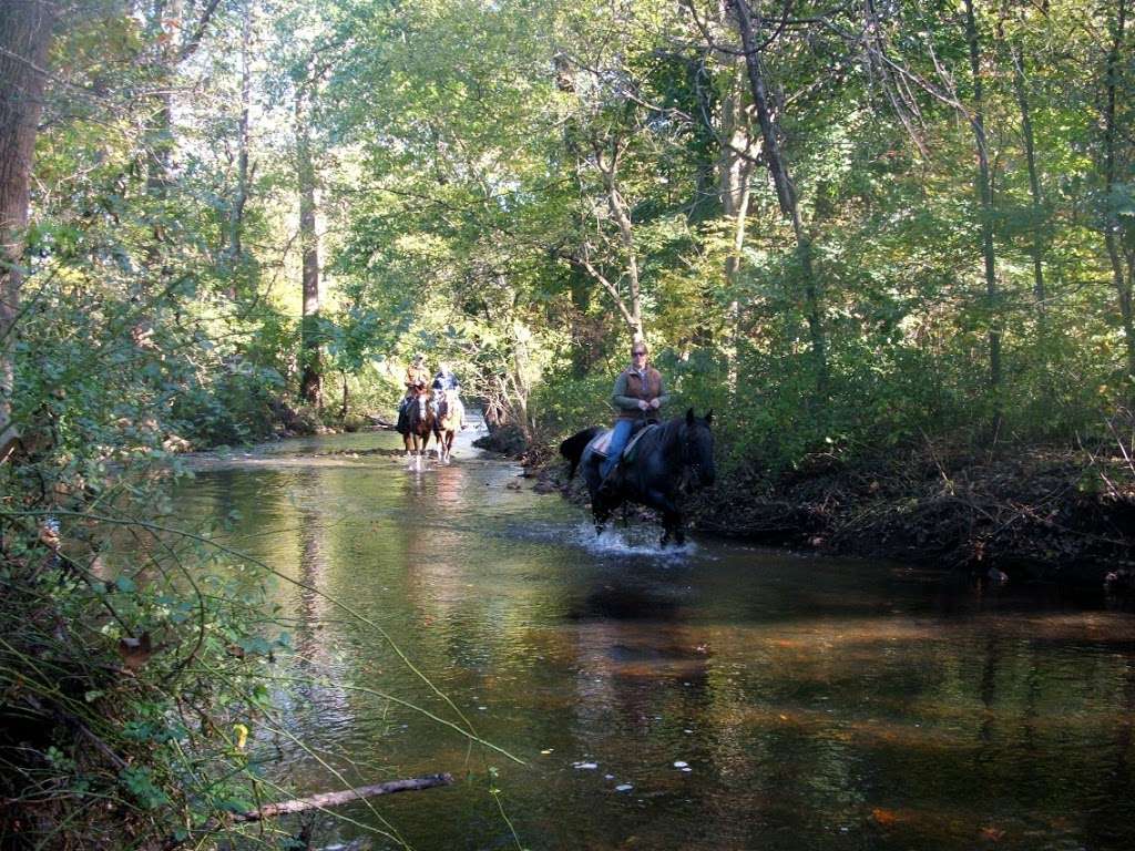 Sheeder Mill Farm | 12 Sheeder Mill Rd, Spring City, PA 19475 | Phone: (610) 469-9382