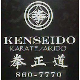 Kenseido | 13133 NW Military Hwy, San Antonio, TX 78231, USA | Phone: (210) 846-7243