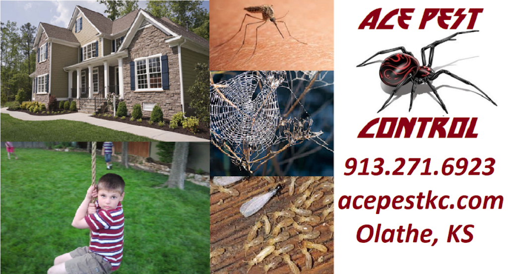 Ace Pest Control | 3929, 16211 S Locust St, Olathe, KS 66062, USA | Phone: (913) 271-6923