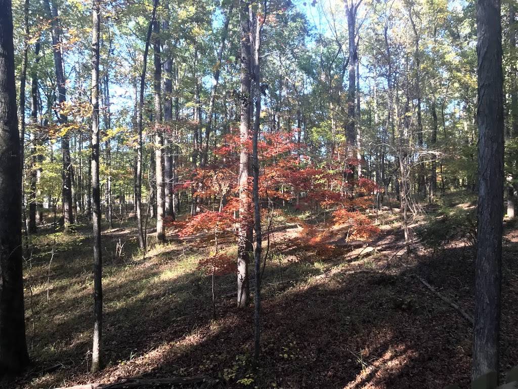 Treetop Nature Trail of Alabama Wildlife Center | Terrace Dr, Pelham, AL 35124, USA | Phone: (205) 663-7930