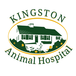 Kingston Animal Hospital | 192 Main St, Kingston, MA 02364, USA | Phone: (781) 585-6525