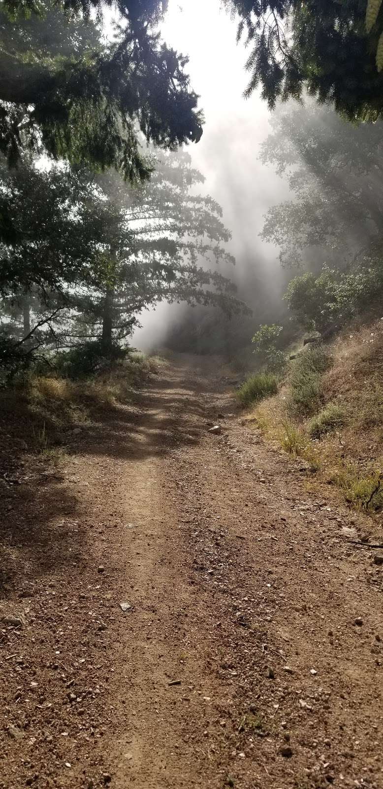 Dawn Mine Trail | Altadena, CA 91001, USA