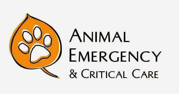 Animal Emergency & Critical Care | 104 S Main St, Longmont, CO 80501, USA | Phone: (303) 678-8844