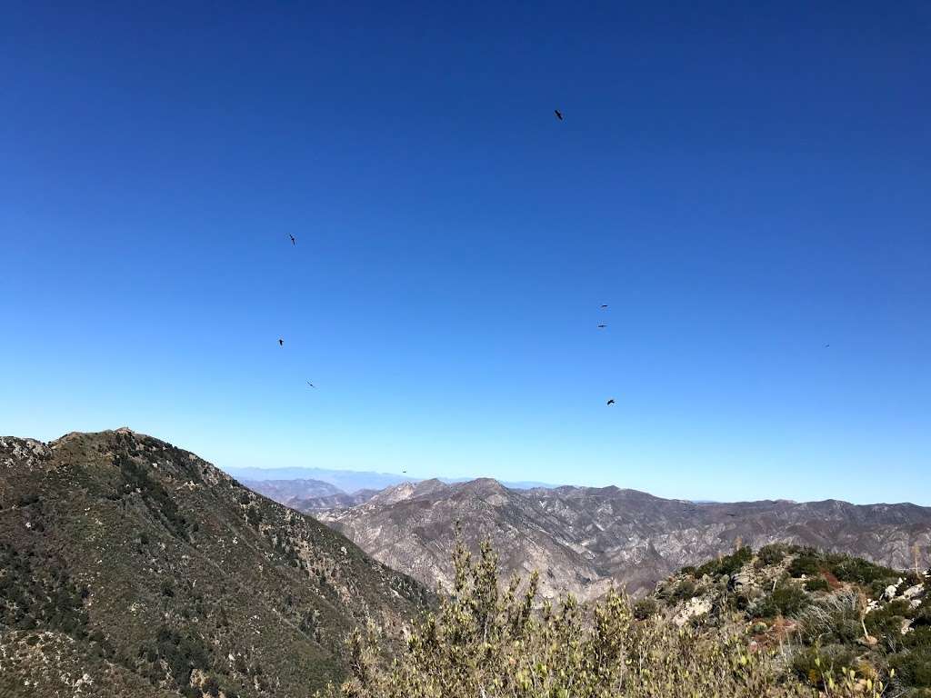 Strawberry peak west ridge trail | Colby Cyn Trail, Palmdale, CA 93550, USA