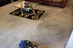 Horton Carpet Cleaning | 12424 S 37th Ct, Phoenix, AZ 85044, United States | Phone: (602) 300-5986